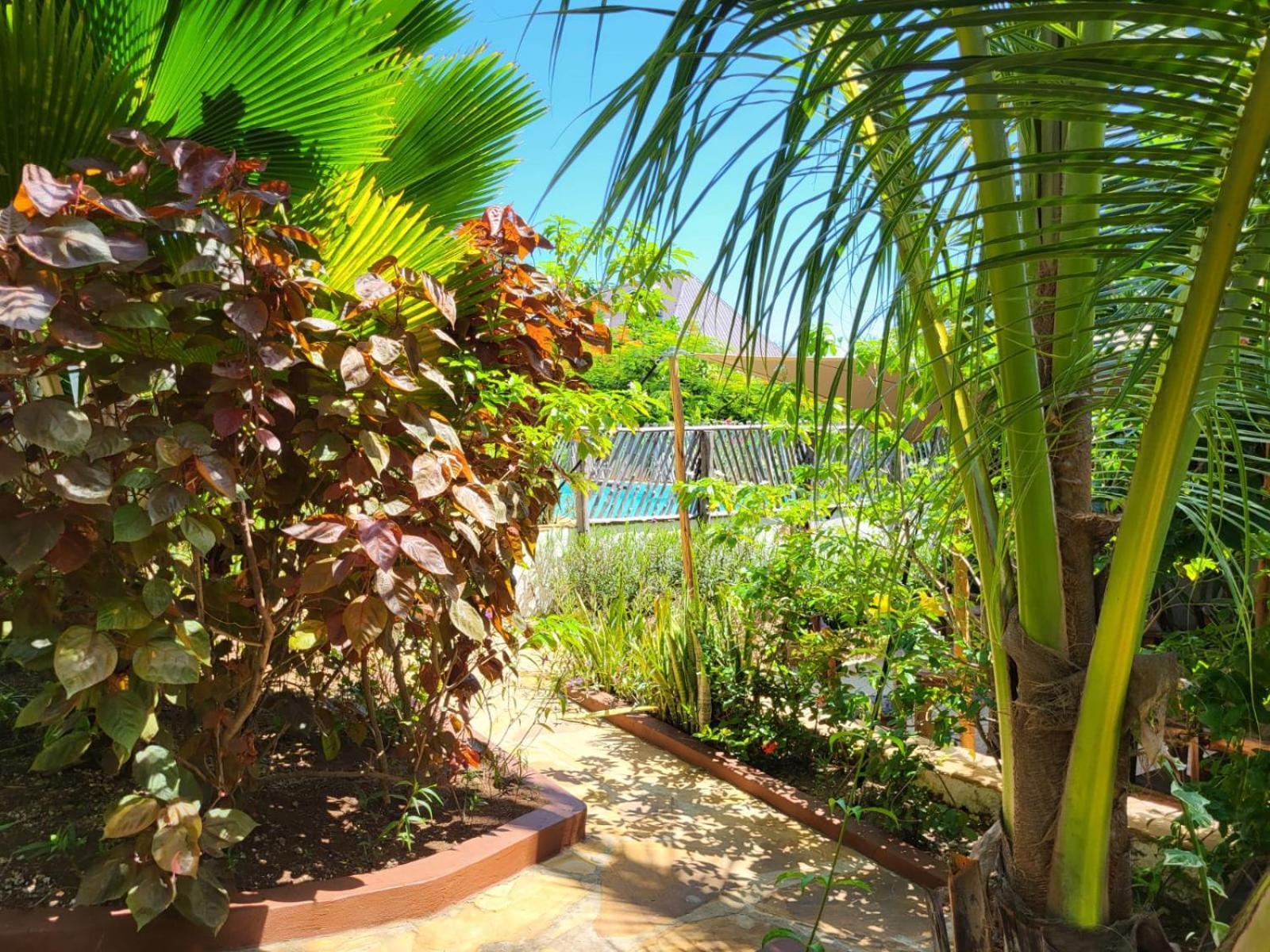 Nyumbani Residence Suites Jambiani  Buitenkant foto