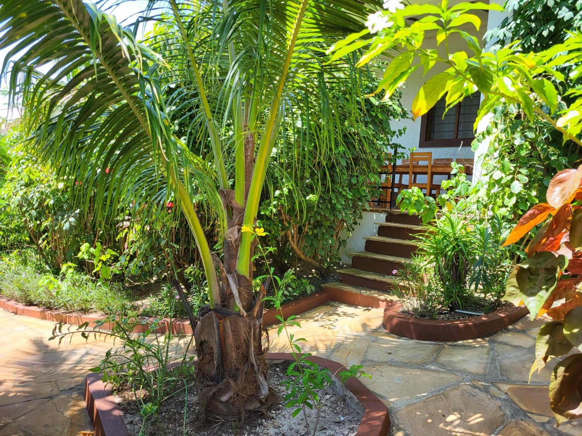 Nyumbani Residence Suites Jambiani  Buitenkant foto