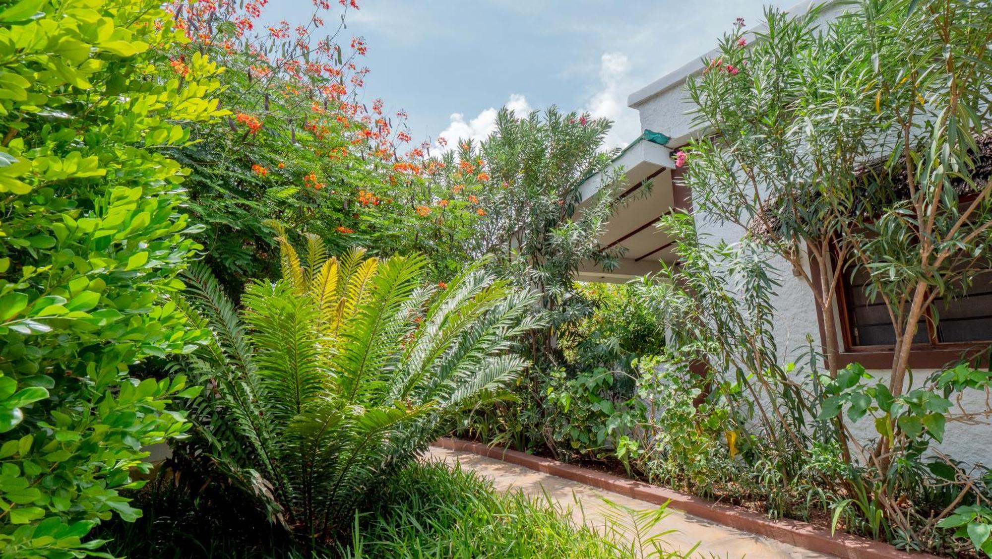 Nyumbani Residence Suites Jambiani  Buitenkant foto
