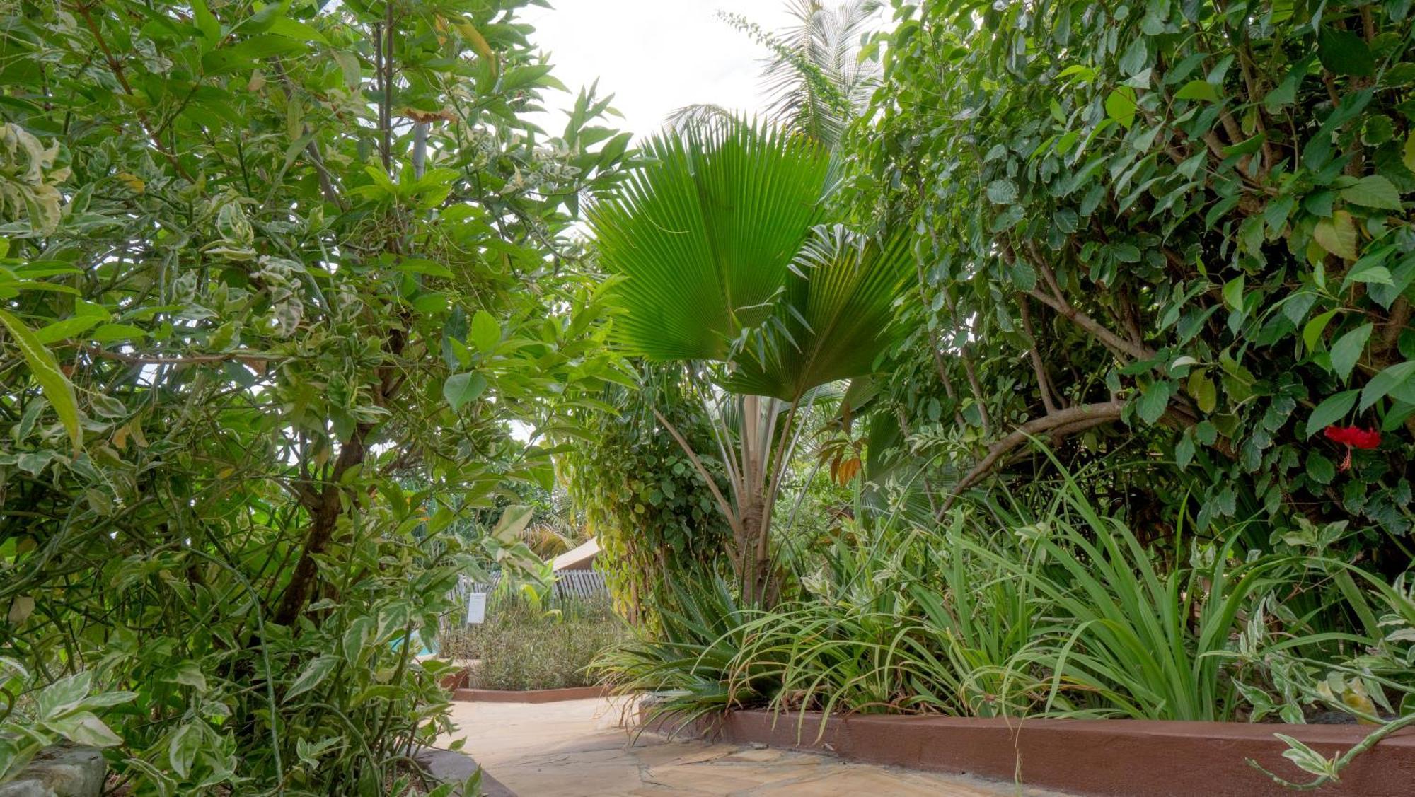 Nyumbani Residence Suites Jambiani  Buitenkant foto