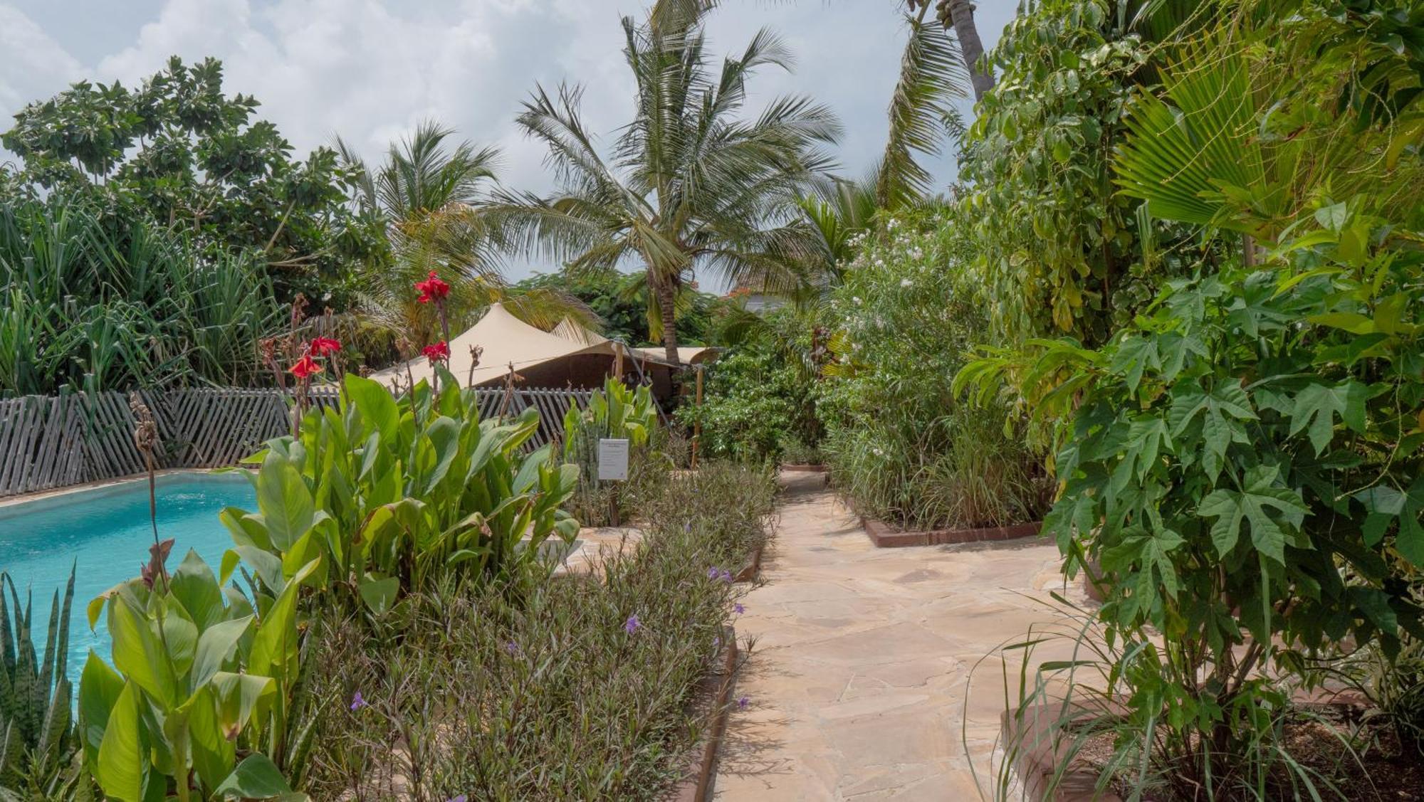Nyumbani Residence Suites Jambiani  Buitenkant foto
